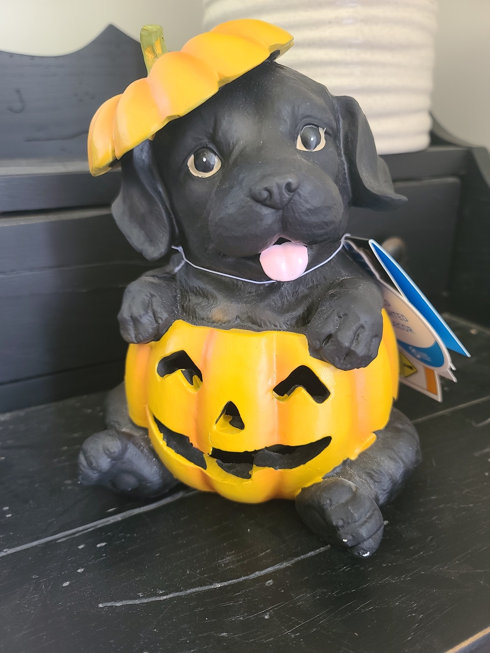 Black Puppy in Orange Pumpkin Light Up Halloween Figurine - Seasonal Home Accent